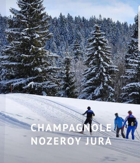 Vila Gite Jura Mina Chalet Au Milieu De La Nature Ney Exteriér fotografie