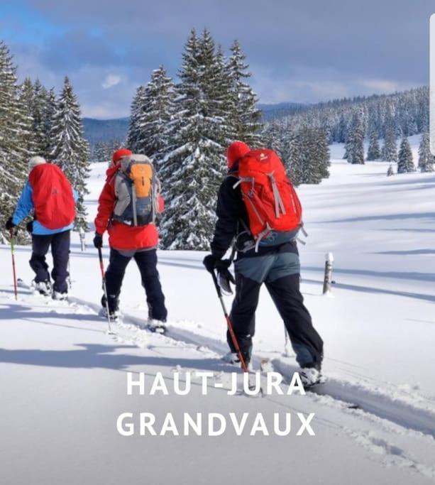 Vila Gite Jura Mina Chalet Au Milieu De La Nature Ney Exteriér fotografie